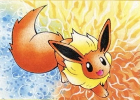 JR Rally 2000 Eevee English promotional Pokémon card distributed in Japan