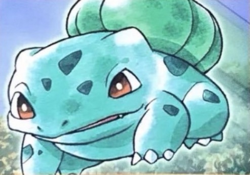 Erica bulbasaur Corocoro