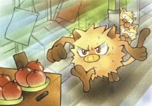Natta wake mankey