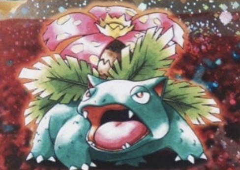 CD Venusaur