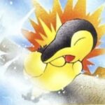 Intropack cyndaquil